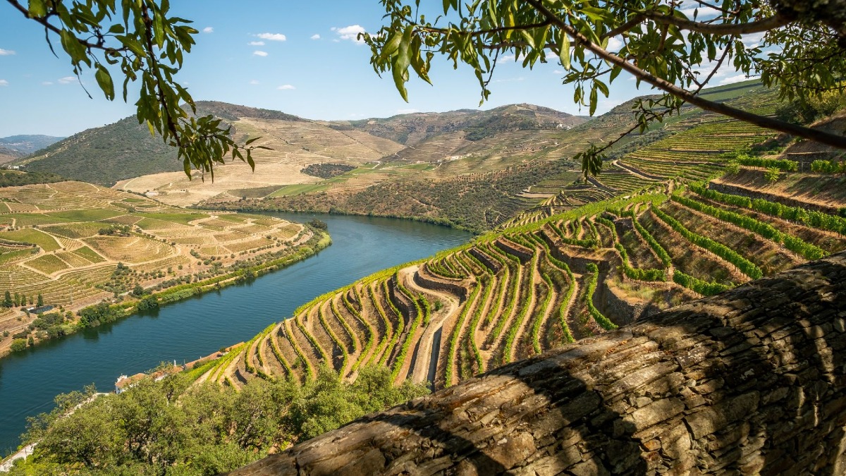 Vue panoramique sur la rive gauche de Pinhão et son vieux pont historique lors d'une visite guidée dans la Vallée du Douro avec Cooltour Oporto